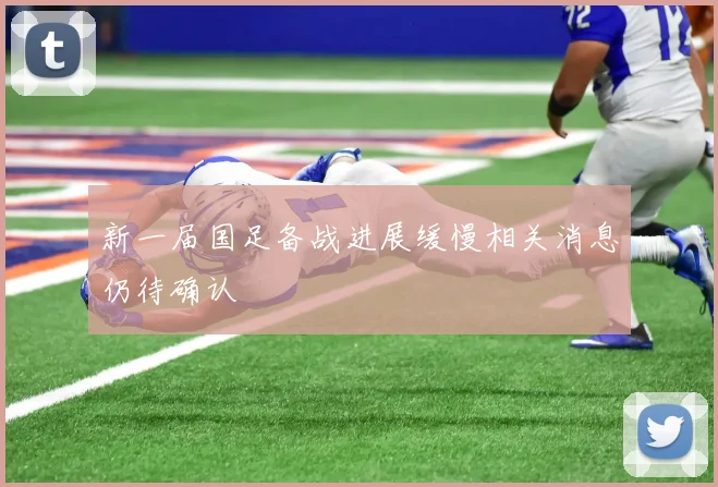 新一届国足备战进展缓慢相关消息仍待确认
