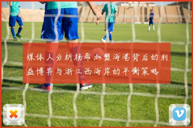 媒体人分析杨希加盟海港背后的利益博弈与浙江西海岸的平衡策略