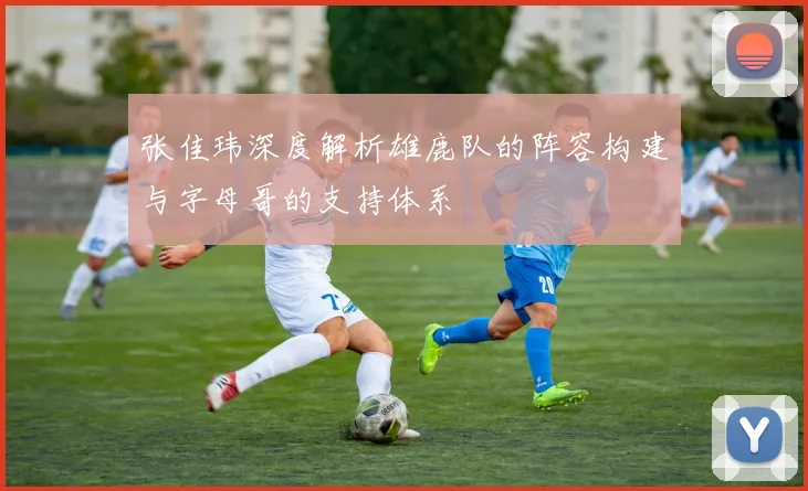 张佳玮深度解析雄鹿队的阵容构建与字母哥的支持体系